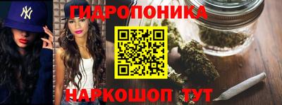 бошки Гатчина