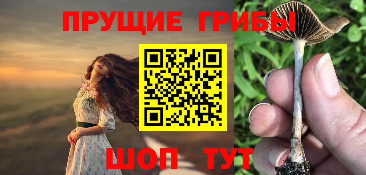 Североуральск  Галлюциногенные грибы мицелий  Вход с VPN 